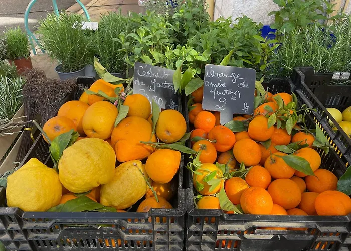 Apartament Lumineux Vue Et Jardin Exceptionnel 3 Etoiles Mentona