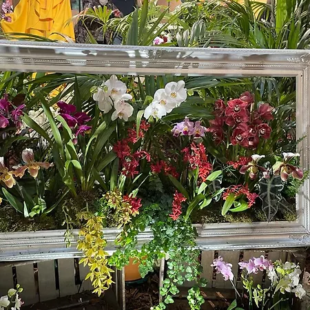 Lumineux Vue Et Jardin Exceptionnel Apartman