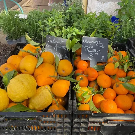 Appartement Et Lumineux Vue Et Jardin Exceptionnel Menton